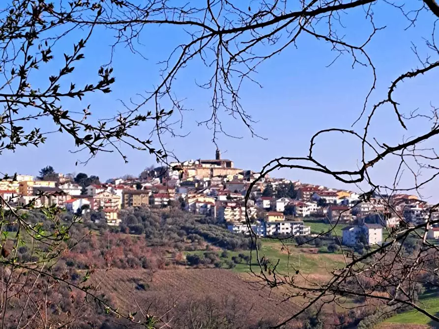 Immagine 40 di Quadrilocale in vendita  in Via Moscete 31 a Castel Frentano