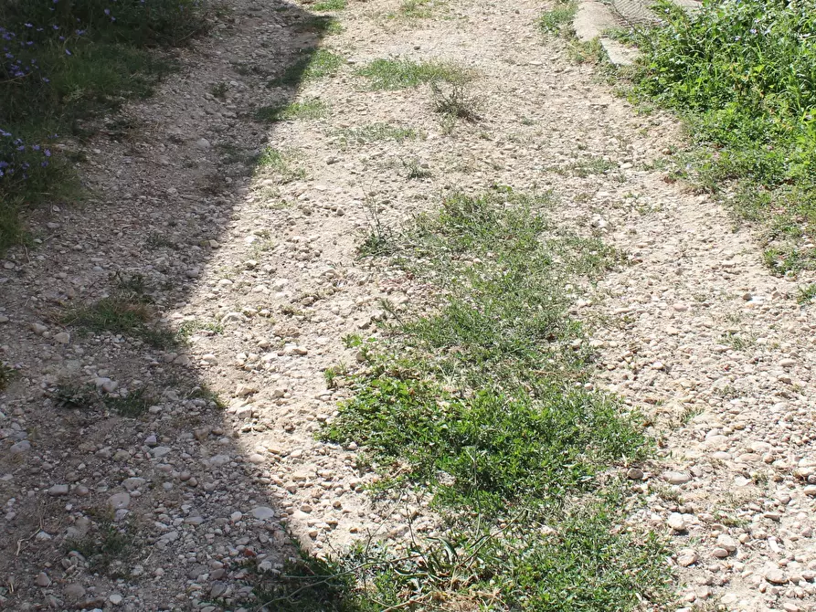 Immagine 15 di Terratetto in vendita  in Contrada Fontanelle 19 a Lanciano