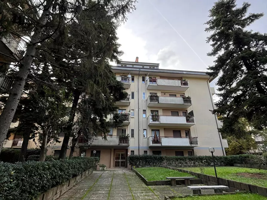 Immagine 6 di Trilocale in vendita  in Via Giangiulio Adamo 46 a Lanciano