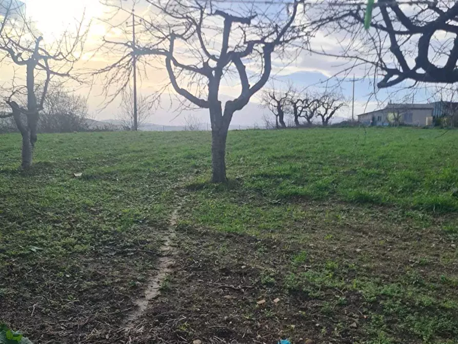 Immagine 23 di Casa bifamiliare in vendita  in Contrada Coste di Moro 23 a Orsogna