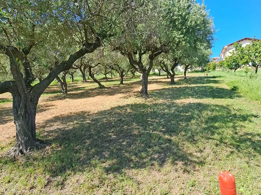 Immagine 54 di Casa indipendente in vendita  in contrada follani 260 a Lanciano