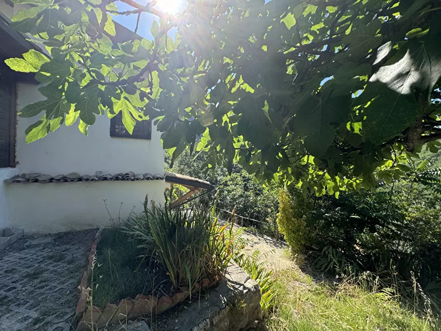 Immagine 74 di Casa indipendente in vendita  a Gessopalena