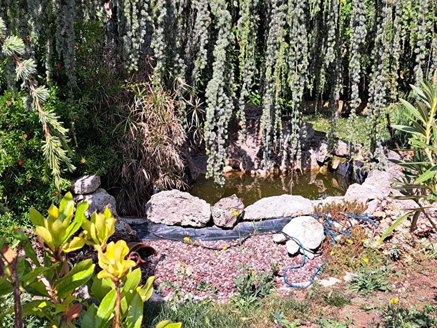 Immagine 11 di Villa in vendita  in villa andreoli a Lanciano