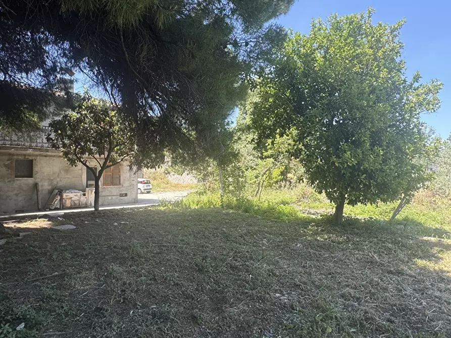 Immagine 11 di Casa semindipendente in vendita  in Via Lascianna 9 a Roccascalegna