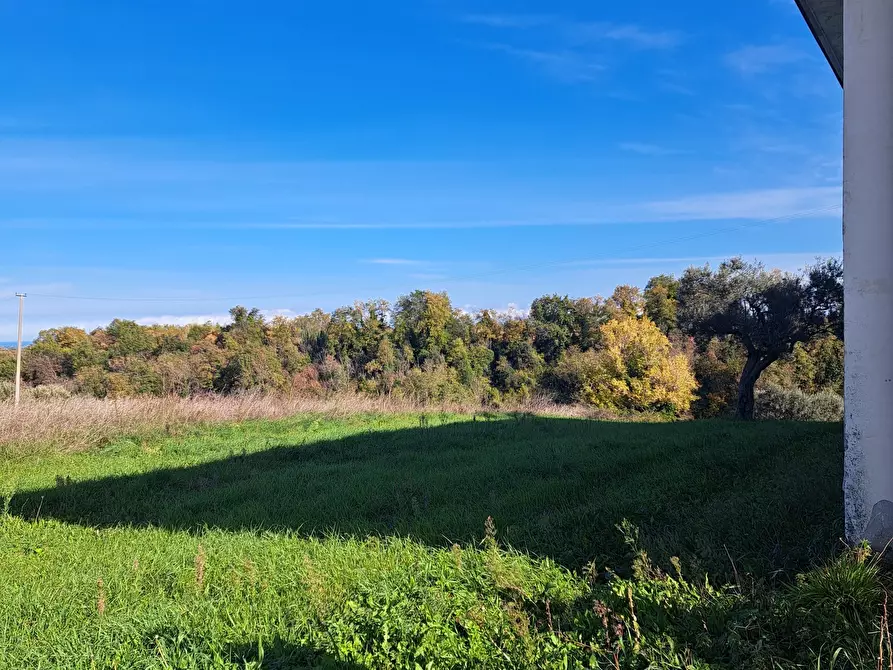 Immagine 18 di Attività artigianale in affitto  in SS538 a Orsogna
