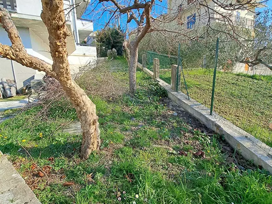 Immagine 2 di Quadrilocale in vendita  in Via Moscete 31 a Castel Frentano