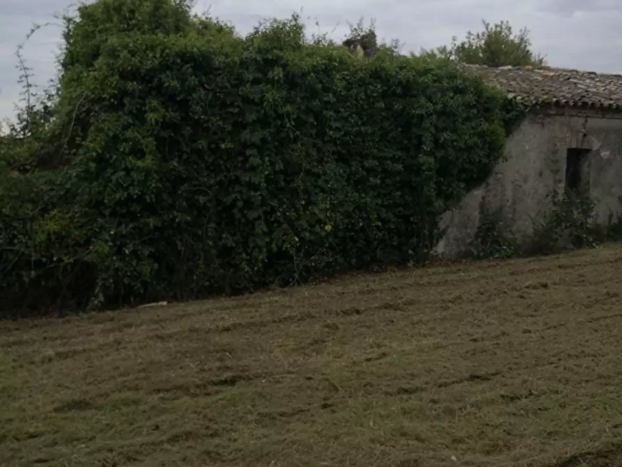 Immagine 15 di Terreno edificabile in vendita  in Via Puglianna a Treglio