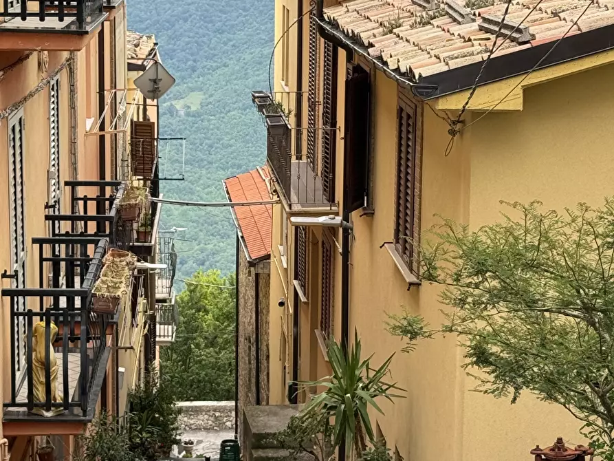 Immagine 59 di Appartamento in vendita  in Palmoli a Palmoli