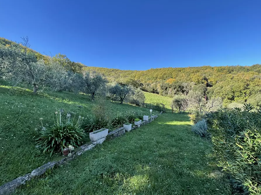 Immagine 12 di Villa in vendita  in via san giusto a Livorno