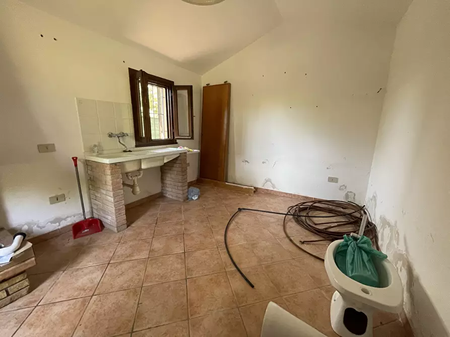 Immagine 4 di Terreno agricolo in vendita  in Strada Provinciale dei Tre Comuni a Casale Marittimo