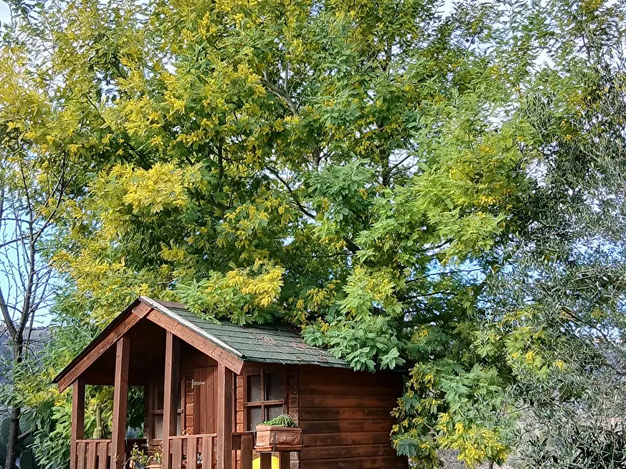 Immagine 58 di Villa in vendita  in Via Monte la Pera 22 a Castelnuovo Di Porto