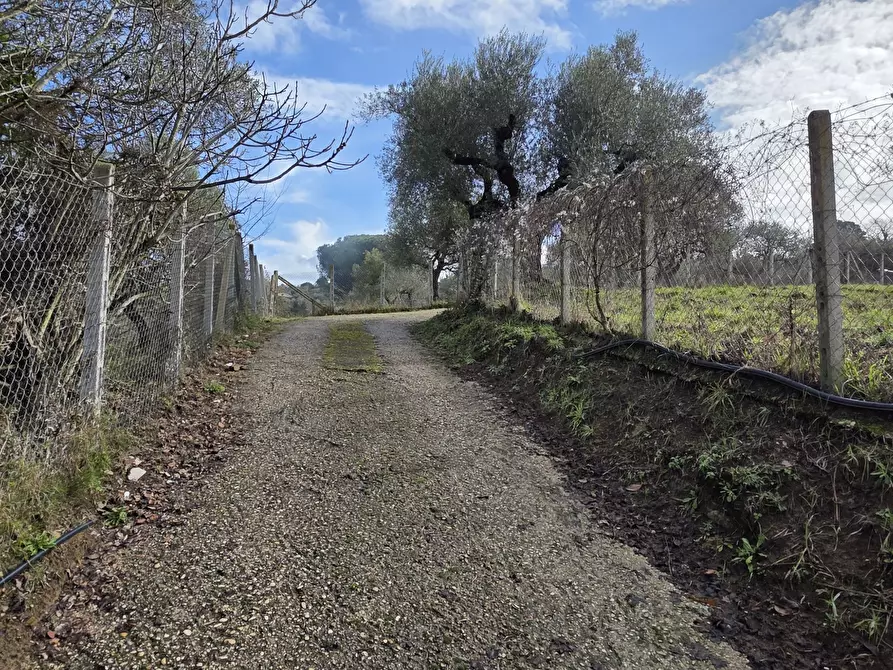 Immagine 38 di Villa in vendita  in Via Monte la Pera 22 a Castelnuovo Di Porto