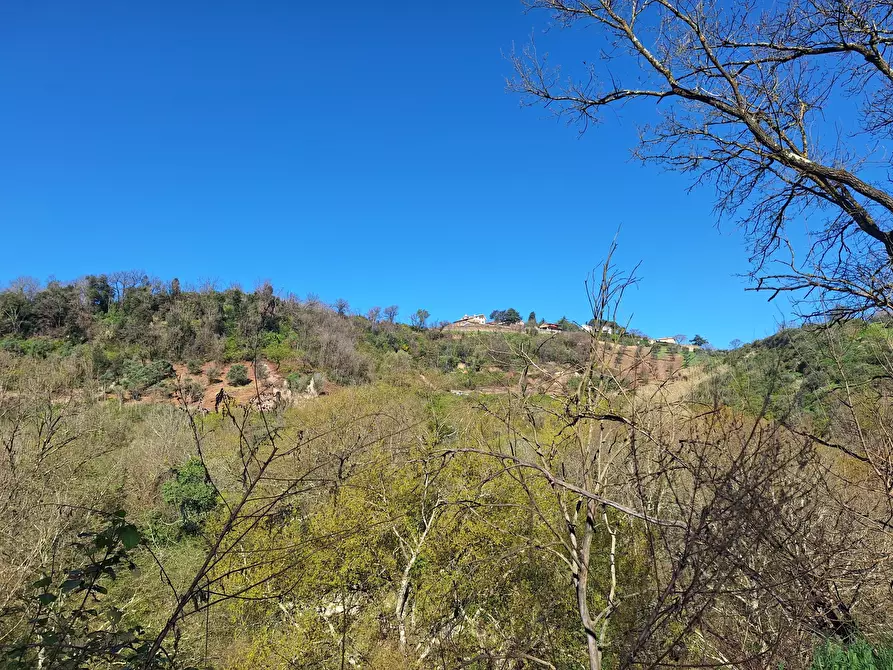 Immagine 9 di Palazzo in vendita  in via delle grotte a Morlupo