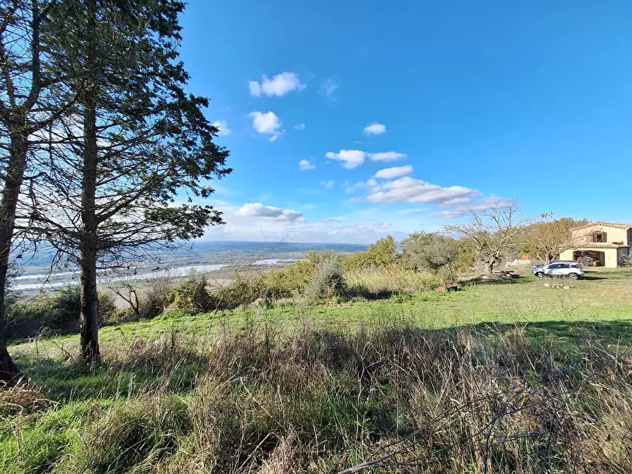 Immagine 126 di Rustico / casale in vendita  in Vocabolo Pupiglian 1 a Guardea