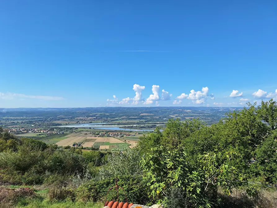 Immagine 3 di Rustico / casale in vendita  in Vocabolo Pupiglian 1 a Guardea