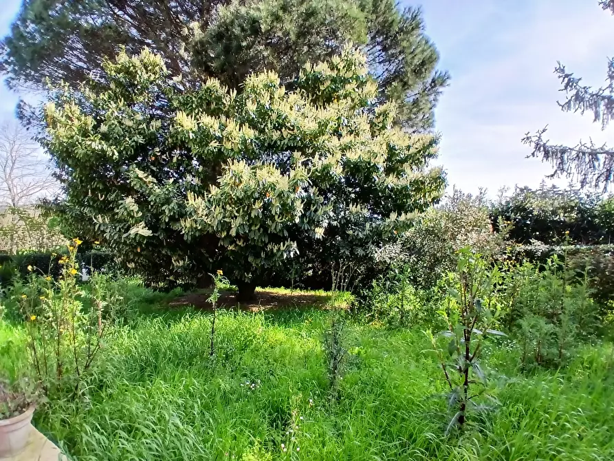 Immagine 38 di Casa bifamiliare in vendita  in Strada Valle di Baccano 3 a Campagnano Di Roma