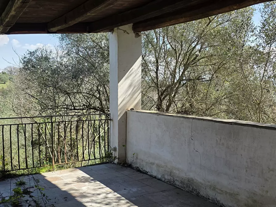 Immagine 13 di Terreno agricolo in vendita  in Via Enrico Fermi 13 a Morlupo