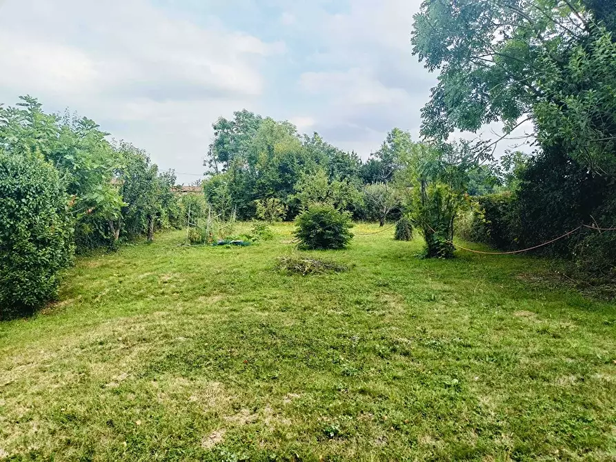 Immagine 5 di Terreno agricolo in vendita  in Frazione Remondato 30 a Ciriè