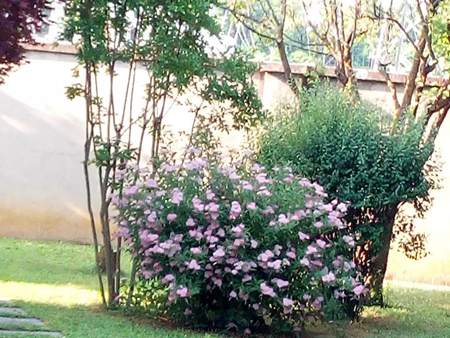 Immagine 71 di Casa bifamiliare in vendita  in Via Lombardore 243 a Ciriè