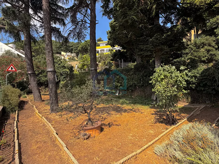 Immagine 20 di Villa in vendita  in Via Millelire 14 a Bergeggi