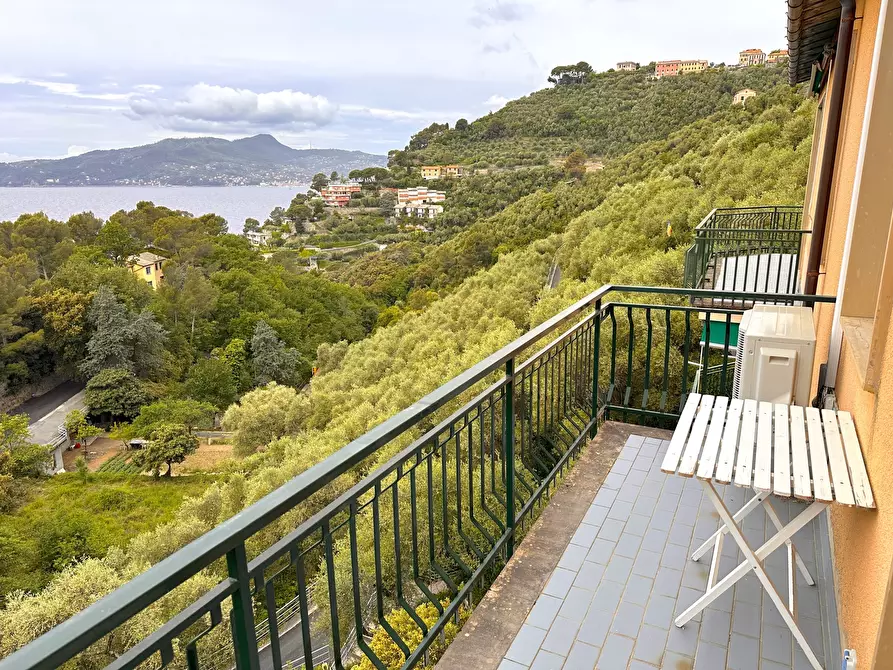Immagine 19 di Trilocale in affitto  a Chiavari