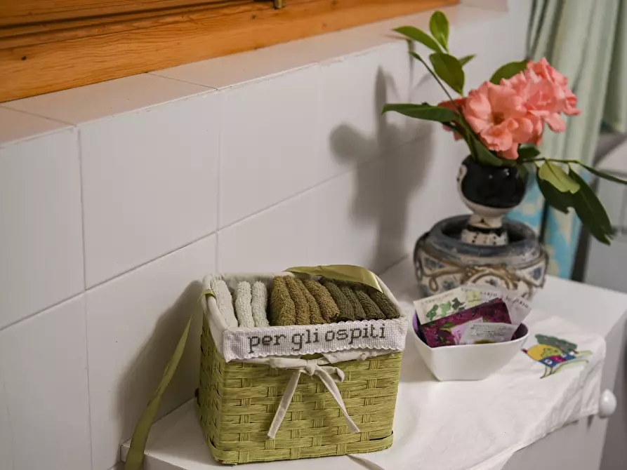 Immagine 58 di Terratetto in vendita  in Villa Brigati 16 a Tornolo