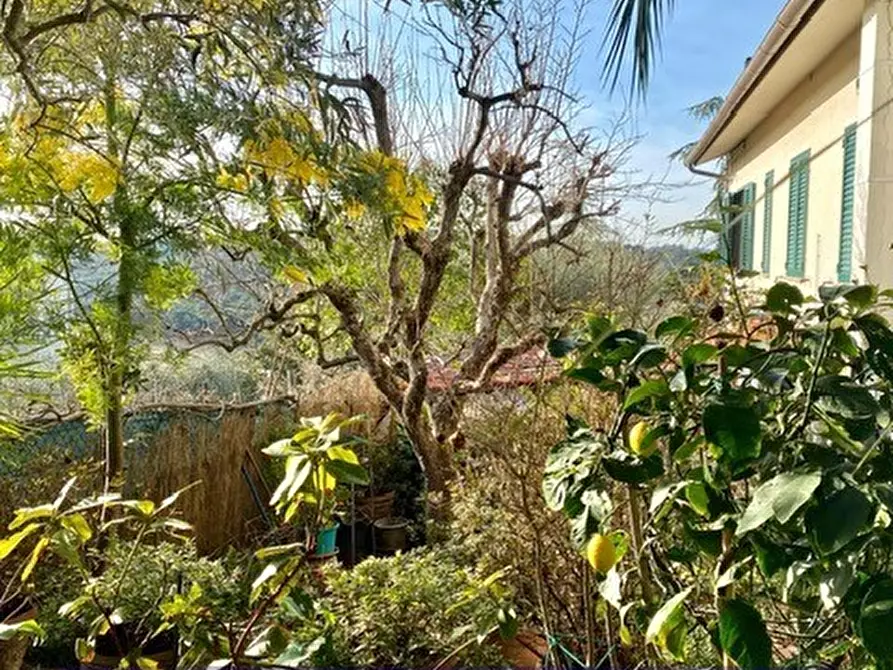 Immagine 15 di Villa in vendita  in Via dei Bagni a Greve In Chianti