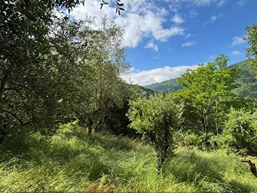 Immagine 4 di Terreno industriale in vendita  in Via degli Imberta a Londa