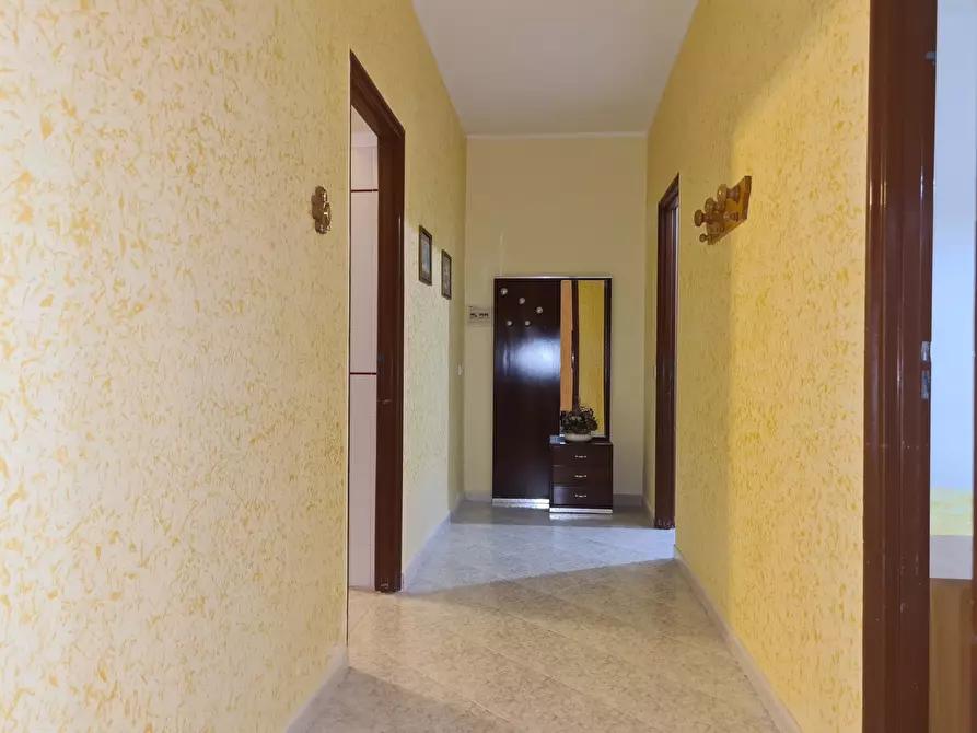 Immagine 6 di Trilocale in affitto  a Catanzaro