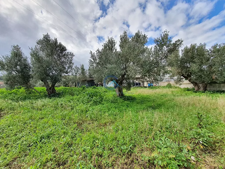 Immagine 11 di Terreno edificabile in vendita  in Via Fiume Neto 9 a Catanzaro