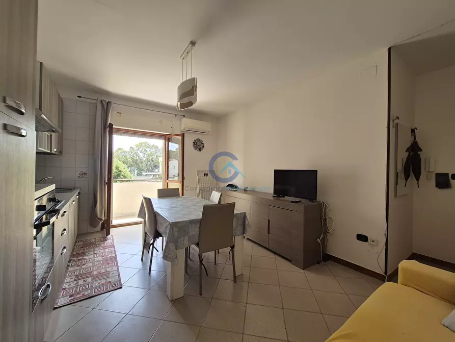 Immagine 1 di Trilocale in affitto  a Catanzaro