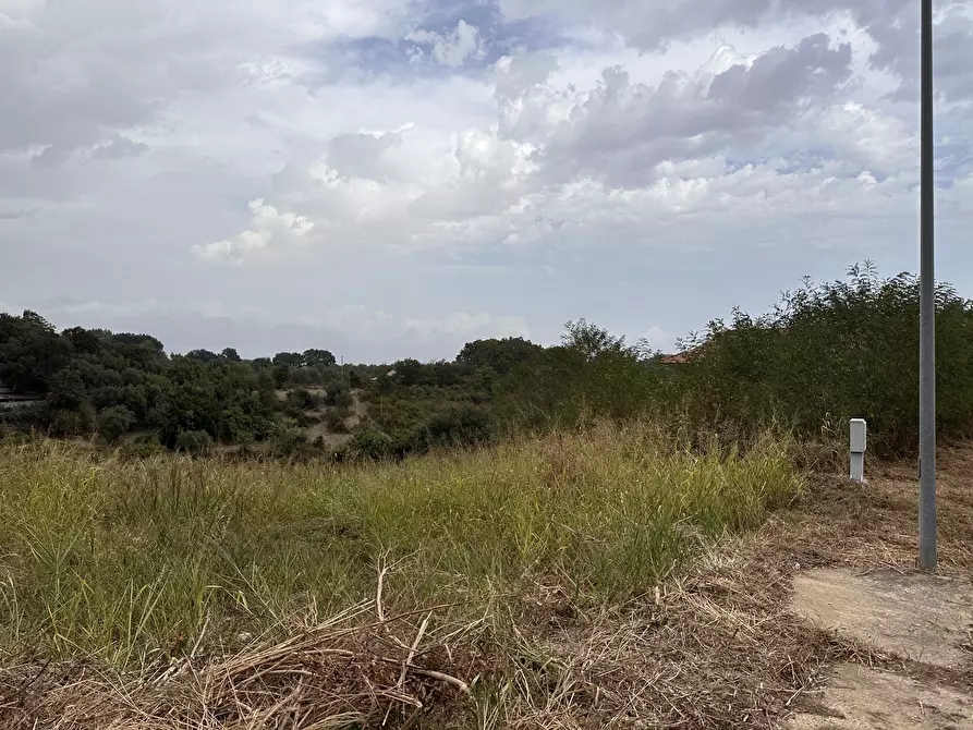 Immagine 4 di Terreno edificabile in vendita  a Borgia