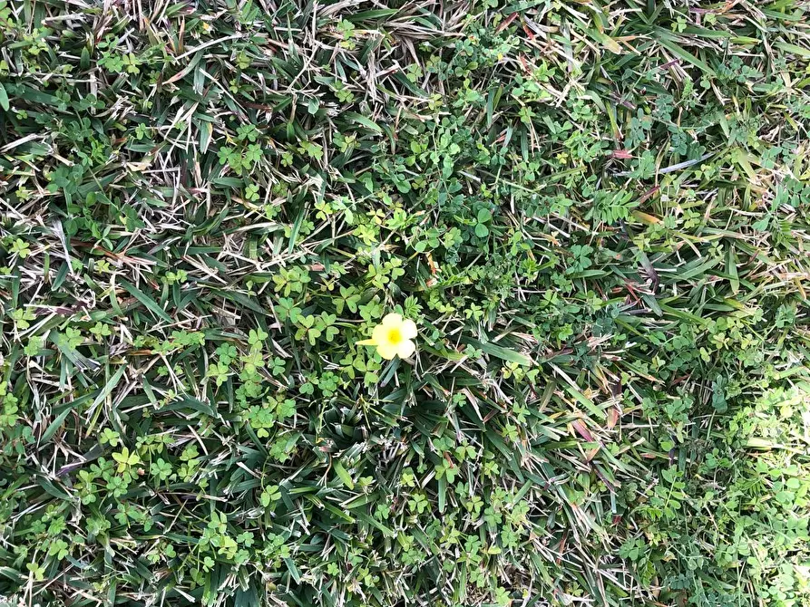 Immagine 1 di Terreno edificabile in vendita  in Viale Epipoli a Siracusa