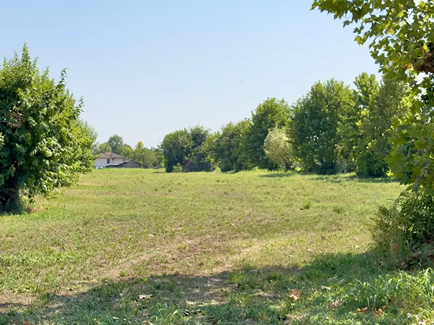 Immagine 3 di Terreno agricolo in vendita  in Via San Francesco D'Assisi 40 a Borgosatollo