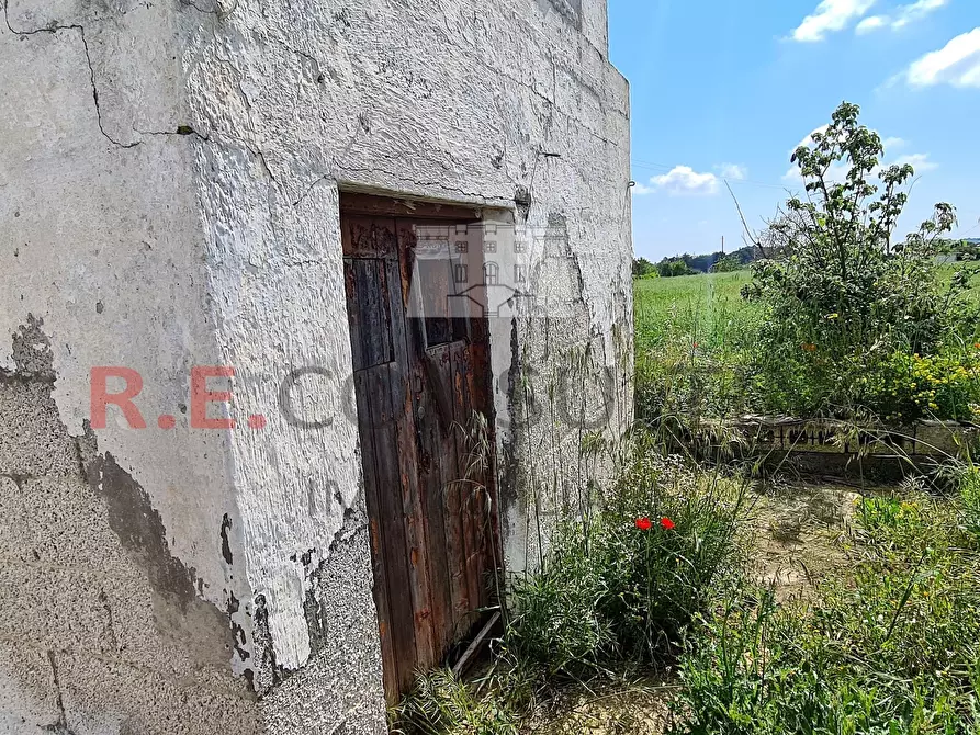 Immagine 20 di Baita in vendita  in Strada Paretone Zona I 331 a Martina Franca