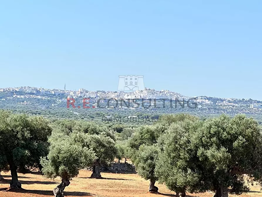Immagine 42 di Rustico / casale in vendita  in Contrada Santatoce sn a Ostuni