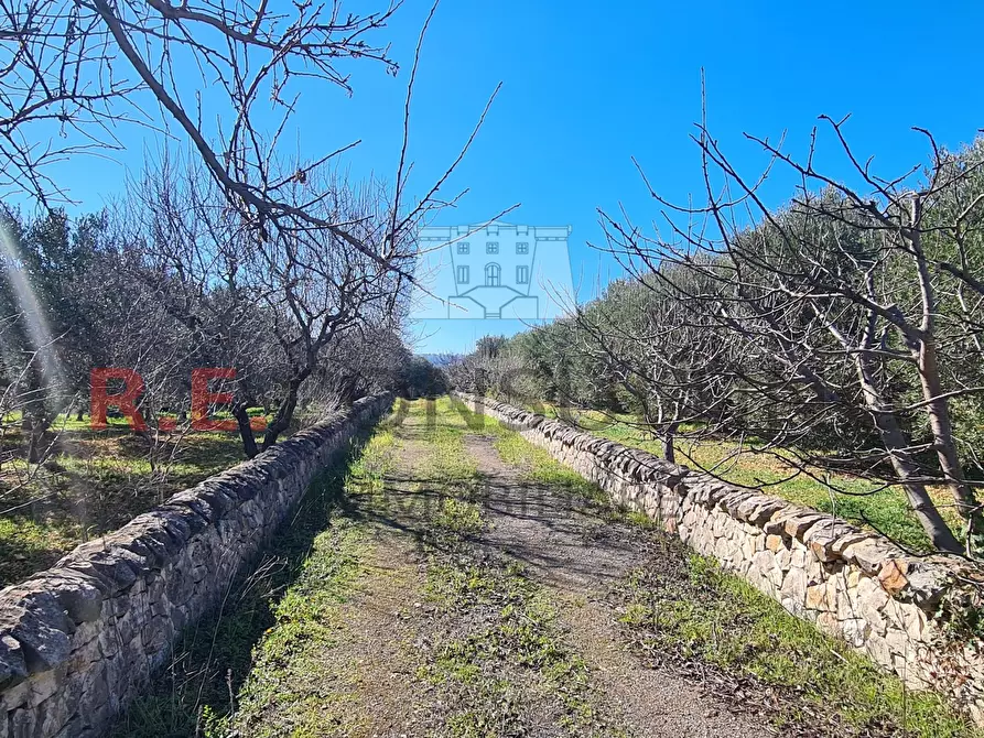 Immagine 37 di Baita in vendita  in Contrada Montemichele 14 a Ostuni