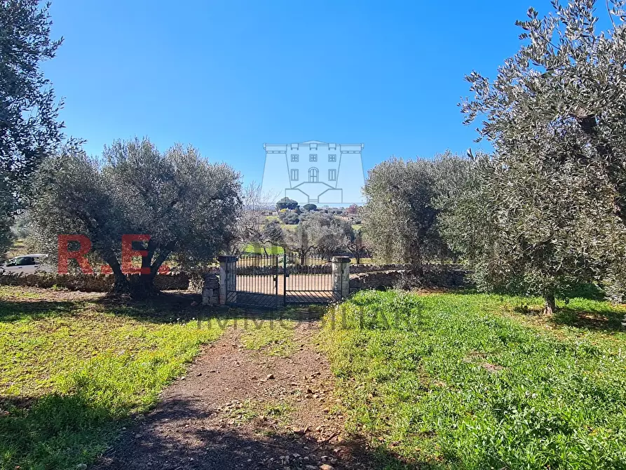 Immagine 41 di Baita in vendita  in Contrada Montemichele 14 a Ostuni