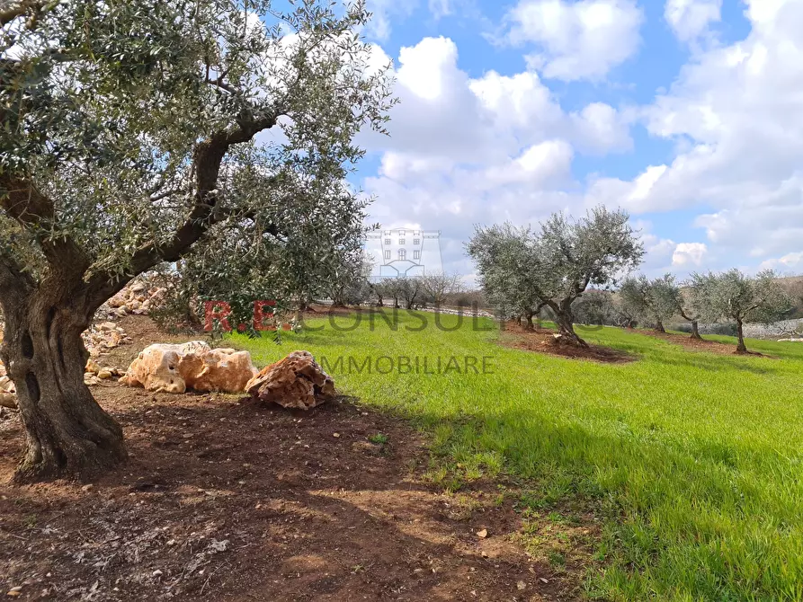 Immagine 13 di Baita in vendita  in Strada Paretone Zona I 363 a Martina Franca