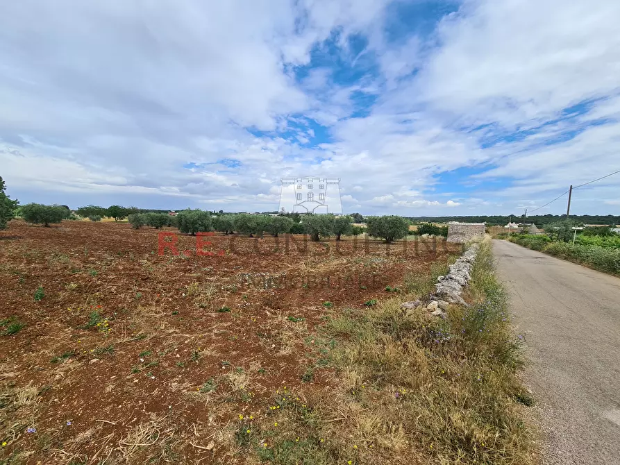 Immagine 10 di Baita in vendita  in Via ospedale a Martina Franca