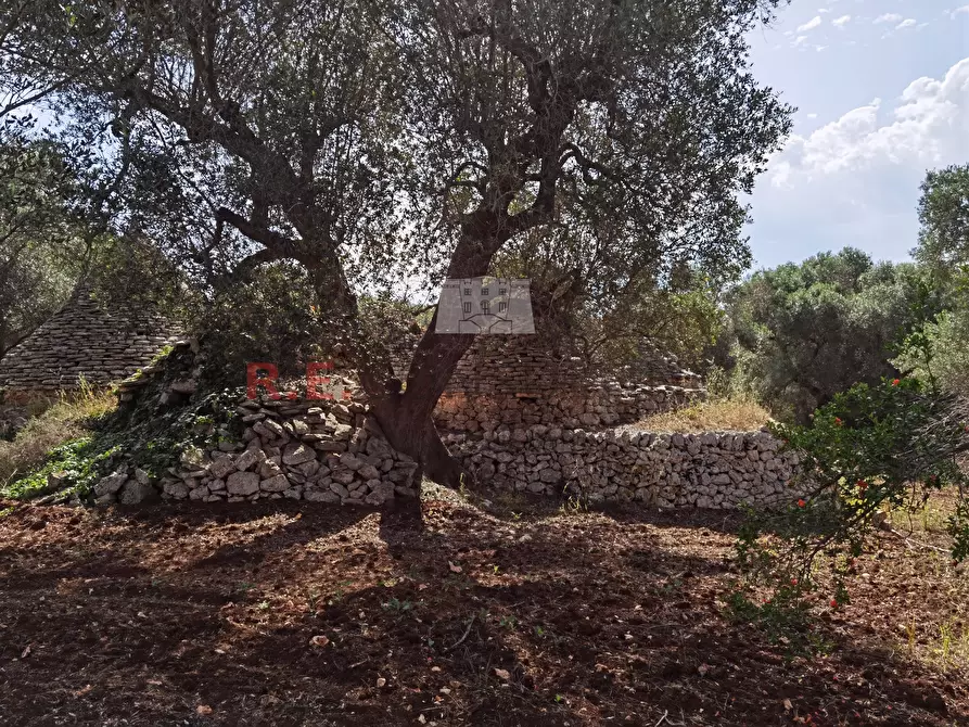 Immagine 10 di Baita in vendita  a Ceglie Messapico