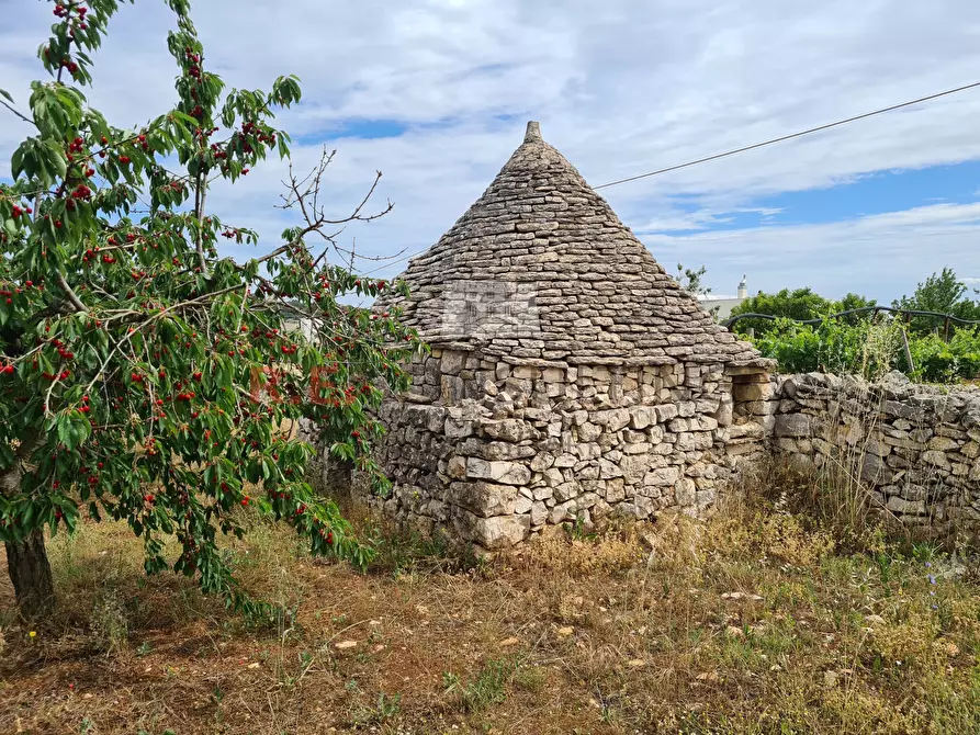 Immagine 6 di Baita in vendita  in Via ospedale a Martina Franca
