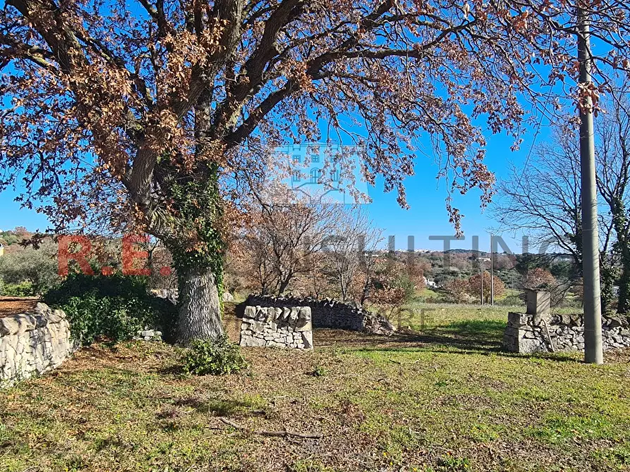 Immagine 16 di Baita in vendita  in Contrada Montemichele 14 a Ostuni