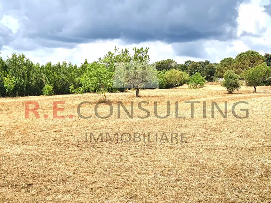 Immagine 11 di Rustico / casale in vendita  a Martina Franca