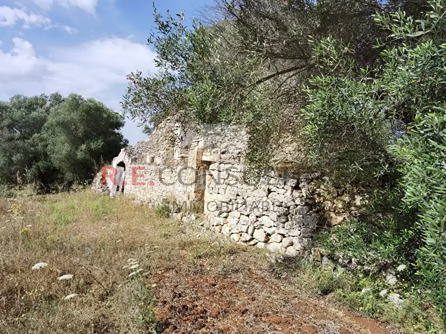Immagine 24 di Baita in vendita  a Ceglie Messapico