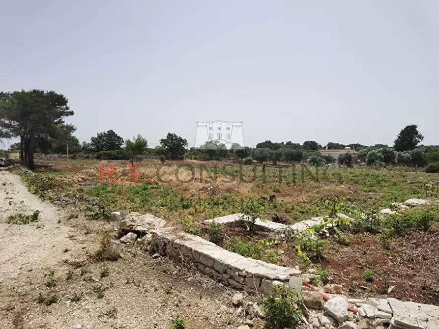 Immagine 23 di Rustico / casale in vendita  in Strada Provinciale 65 52 a Martina Franca