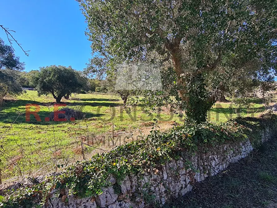 Immagine 27 di Rustico / casale in vendita  a Ceglie Messapico
