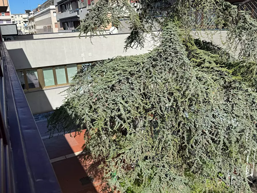 Immagine 8 di Ufficio in affitto  a Pescara