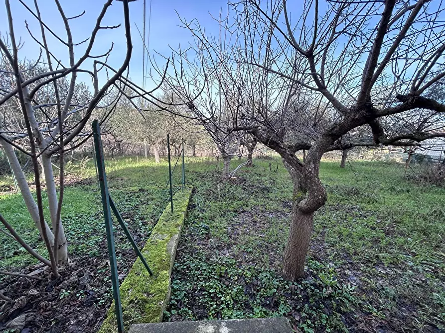 Immagine 25 di Casa indipendente in vendita  a Pescara