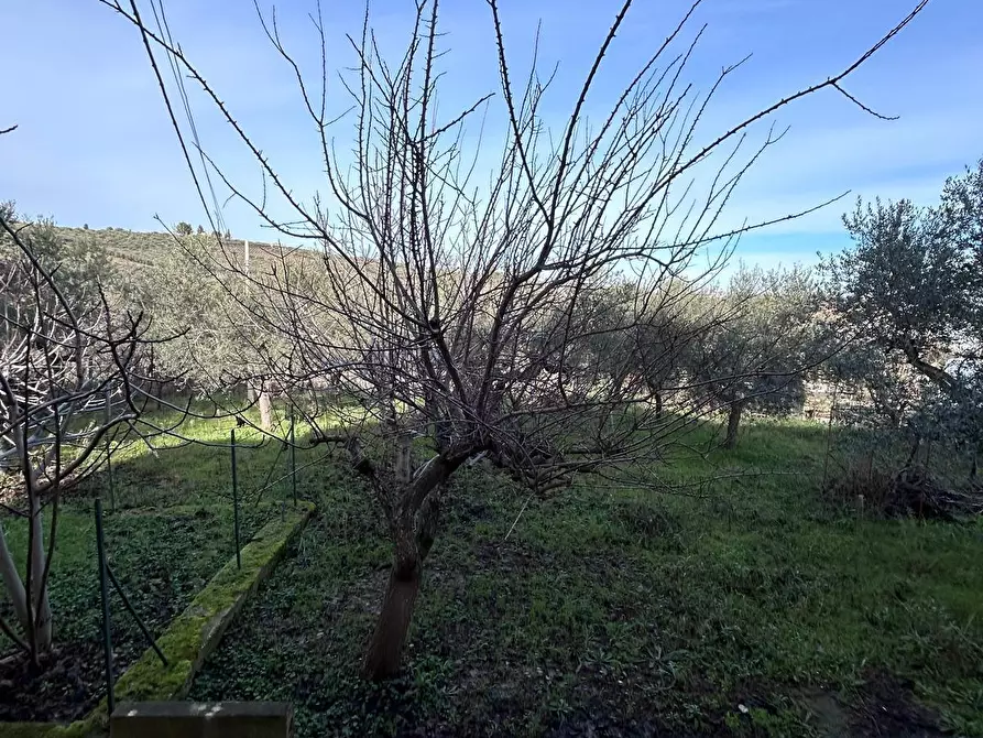 Immagine 21 di Casa indipendente in vendita  a Pescara